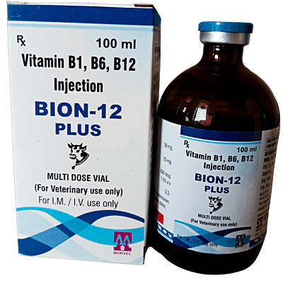 BION 12 PLUS 100 ML INJ