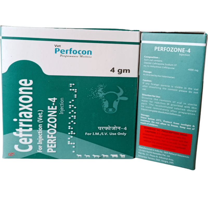 CEFTRIAXONE 4 gram