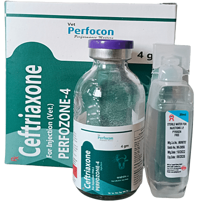 CEFTRIAXONE 4 gram