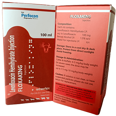 LEVOFLOXACIN INJ 100 ml