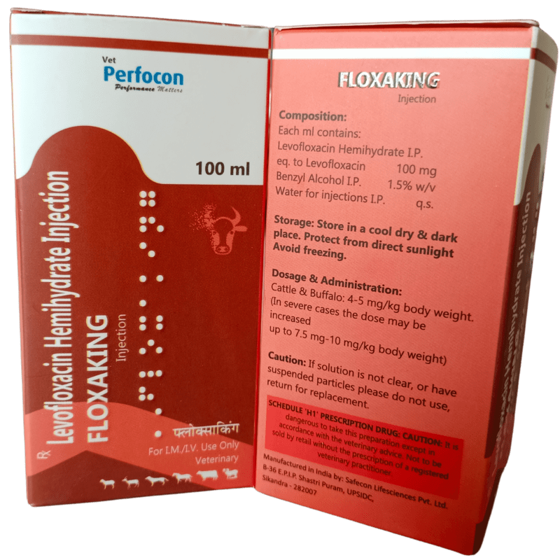 LEVOFLOXACIN INJ 100 ml