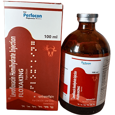 LEVOFLOXACIN INJ 100 ml