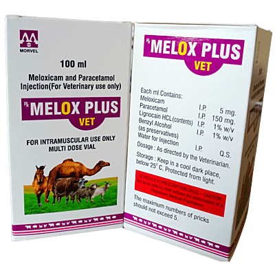 MELOX PLUS VET 100 ML INJ