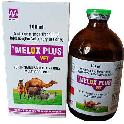 MELOX PLUS VET 100 ML INJ